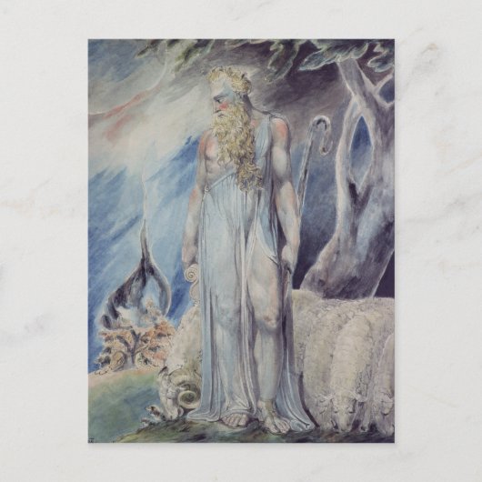 モーゼおよびホウキグサ ポストカード (正面)