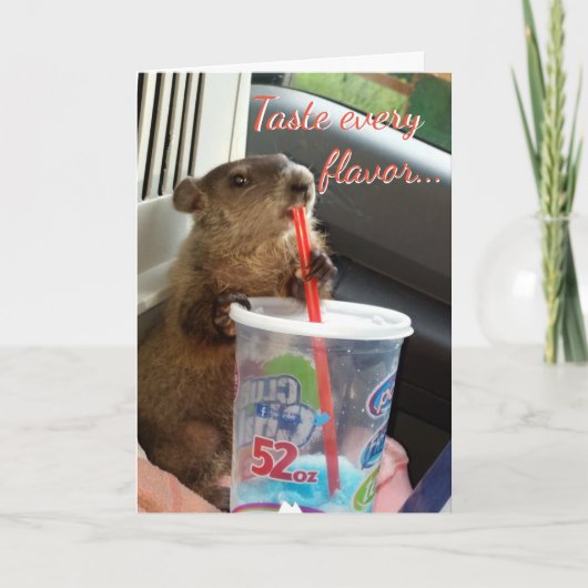 モーゼおよびMaudeのバースデー・カード カード (正面)