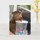 モーゼおよびMaudeのバースデー・カード カード (黄色い花)