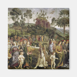 モーゼ、c.1481-83の旅行 マグネット