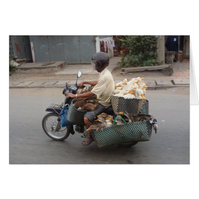 モーターバイクベトナムのアヒル (正面横)