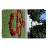 モーツァルト音楽像 マグネット (横)