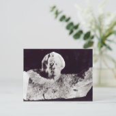 モーツァルト、1911年 ポストカード (スタンド正面)