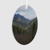 モートンオーバービューアットスモキ素晴らしーな山々 オーナメント (正面)