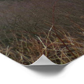 モートンオーバービューアットスモキ素晴らしーな山々 ポスター (角)