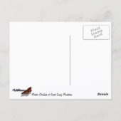 モートンオーバービューアットスモキ素晴らしーな山々 ポストカード (裏面)