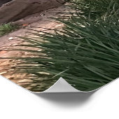 モートン湾フィグツリー ポスター (角)