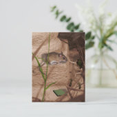 モーナ恋しく思ーマウス… ポストカード (スタンド正面)