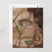 モーナ恋しく思ーマウス… ポストカード (正面/裏面)