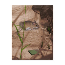 モーナ恋しく思ーマウス…