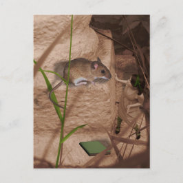 モーナ恋しく思ーマウス… ポストカード