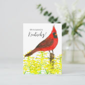 モーニングアナウンスケンタッキー（鳥）ショウジョウコウカンチョウゴールデンロッド ポストカード (スタンド正面)