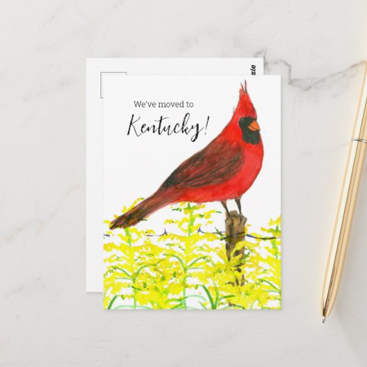 モーニングアナウンスケンタッキー（鳥）ショウジョウコウカンチョウゴールデンロッド ポストカード (正面/裏面インサイチュ)