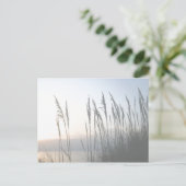 モーニングウィスパー ポストカード (スタンド正面)