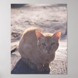 モーニングキャット ポスター