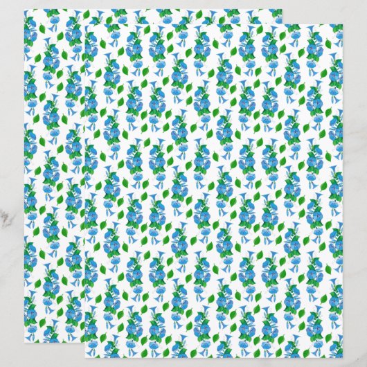 モーニンググロリズスクラップブック紙 (正面/裏面)