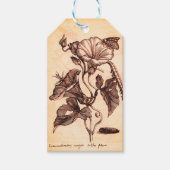 モーニンググローリーイラストレーション ギフトタグ (正面)