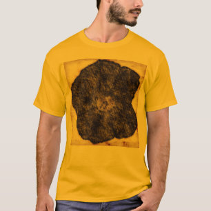 モーニンググローリーオールドタイムスケッチ Tシャツ