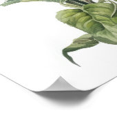 モーニンググローリーフラワーアートプリントポスター ポスター (角)