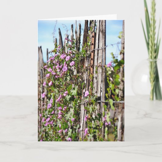 モーニンググローリーフラワーズ聖なる書物、 経典カードヘブライ10:23 カード (正面)