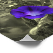 モーニンググローリーフラワーパーシャルカラー ポスター (角)