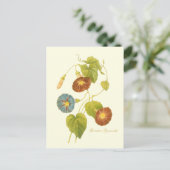 モーニンググローリーブルーイラストレーション ポストカード (スタンド正面)