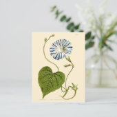 モーニンググローリーブルーイラストレーション ポストカード (スタンド正面)