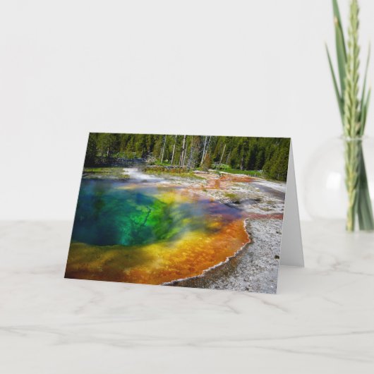 モーニンググローリープールイエローストーンサンキューカード サンキューカード (正面)