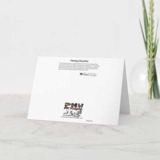 モーニンググローリープールイエローストーンサンキューカード サンキューカード (裏面)