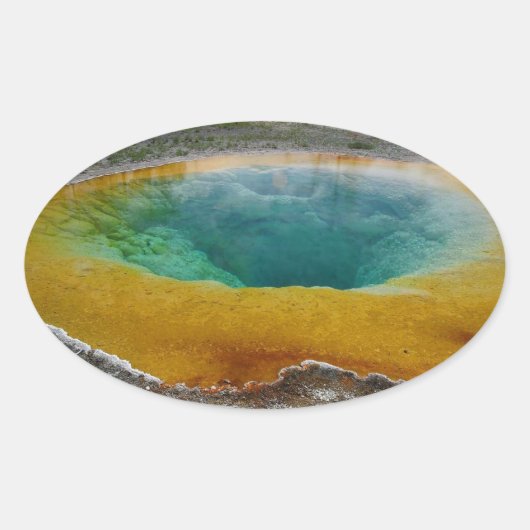 モーニンググローリープールオーバルシール 楕円形シール (正面)