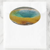 モーニンググローリープールオーバルシール 楕円形シール (バッグ)