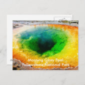 モーニンググローリープールポストカード ポストカード (正面/裏面)