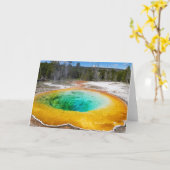 モーニンググローリープール折り畳みグリーティングカード カード (黄色い花)