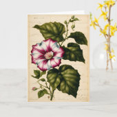 モーニンググローリーボタニカルイラストレーション誕生日 カード (黄色い花)