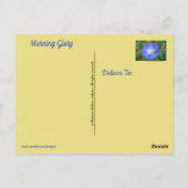 モーニンググローリーポストカード ポストカード (裏面)