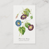 モーニンググローリーヴィンテージ植物学サンキューカード 名刺 (正面)