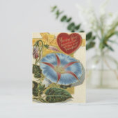 モーニンググローリーヴィンテージ シーズンポストカード (スタンド正面)