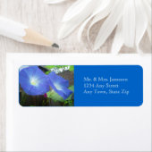 モーニンググローリー住所 シール (インサイチュ)