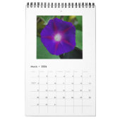 モーニンググローリー美しい カレンダー (3月 2026)