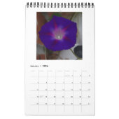 モーニンググローリー美しい カレンダー (1月 2026)