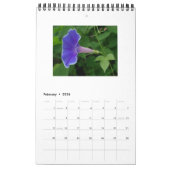 モーニンググローリー美しい カレンダー (2月 2026)