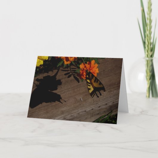 「モーニングシャドウ」イースターカード カード (正面)