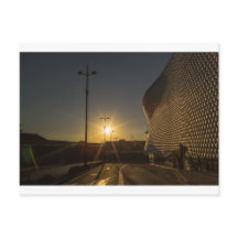 モーニングスターバスト