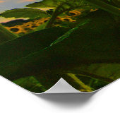 モーニングスター、ソロー ポスター (角)