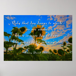 モーニングスター、ソロー ポスター