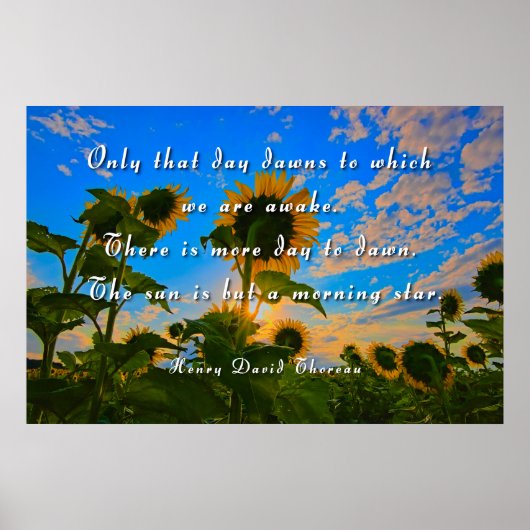 モーニングスター、ソロー ポスター (正面)