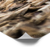 モーニングドーブプリント ポスター (角)