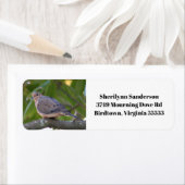 モーニングドーヴフォト差出人住所 ラベル (インサイチュ)