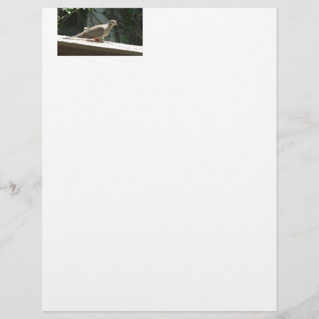 モーニングハト (正面)