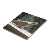 モーニングハト タイル (側面)